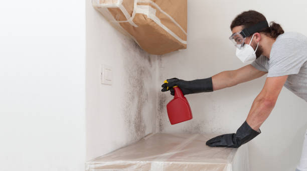 Professional Attic Mold Remediation technician working in Clifton, IL