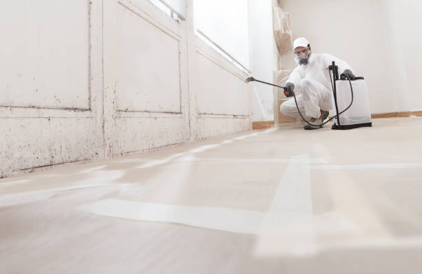 24/7 Emergency Attic Mold Remediation experts in Clifton, IL